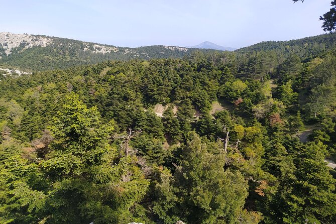 1 Day Parnitha Athens Private Hiking Tour with Hotel Pickup - Key things to know before you hike Parnitha