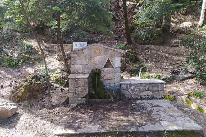 1 Day Parnitha Athens Private Hiking Tour with Hotel Pickup - Why Parnitha feels like a reset from Athens