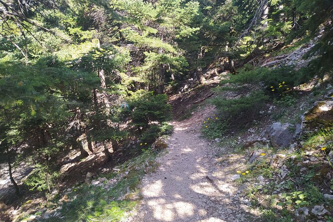 1 Day Parnitha Athens Private Hiking Tour with Hotel Pickup - Included extras that quietly add value