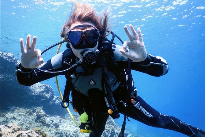 3 Hour Private Scuba Diving Experience - What this 3-hour private scuba tryout in Athens is really like