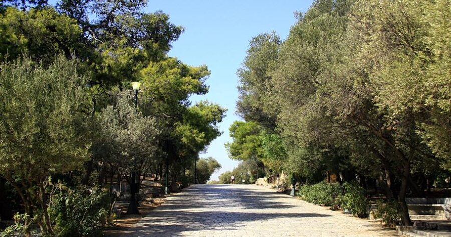 Acropolis, Parthenon and Plaka Guided tour with entrances - Monastiraki’s market scene, plus views that make the ruins feel current