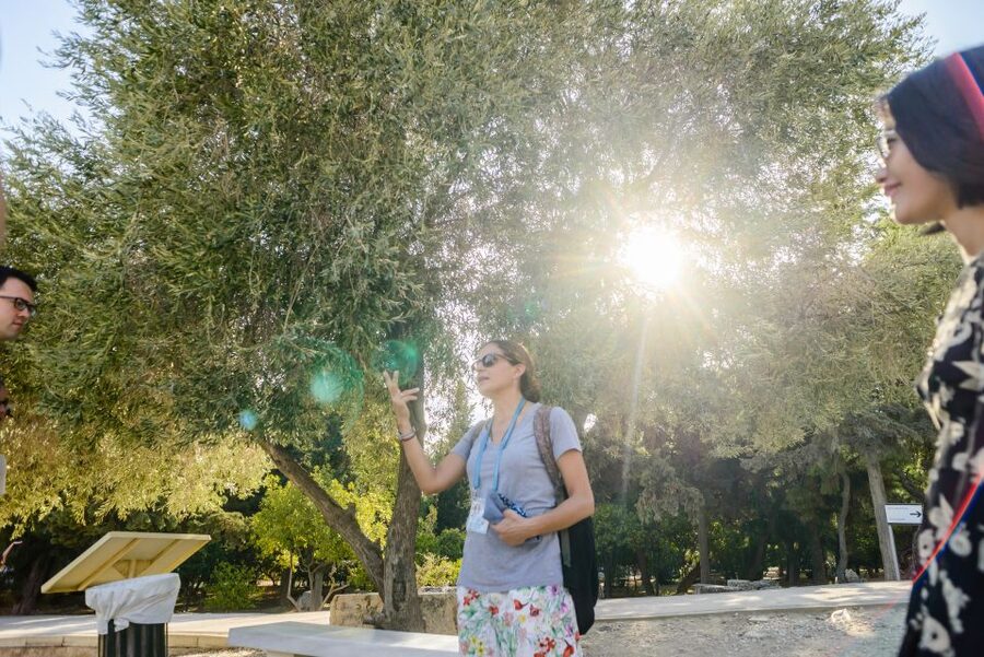 Acropolis: Premium Acropolis and Parthenon Guided Tour - Key highlights worth caring about