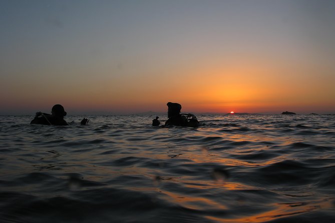 Adventure Dives for Certified Divers in Nea Makri, Athens - Key things you should notice before you go