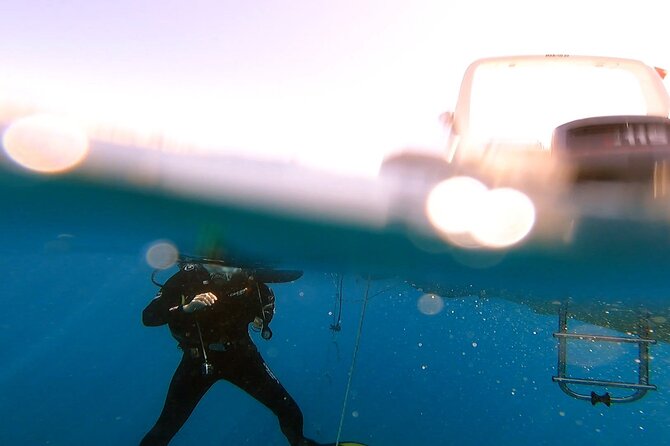 Adventure Dives for Certified Divers in Nea Makri, Athens - Marathon Beach speedboat runs to Platourada, Dipsa, and Marathon Cape