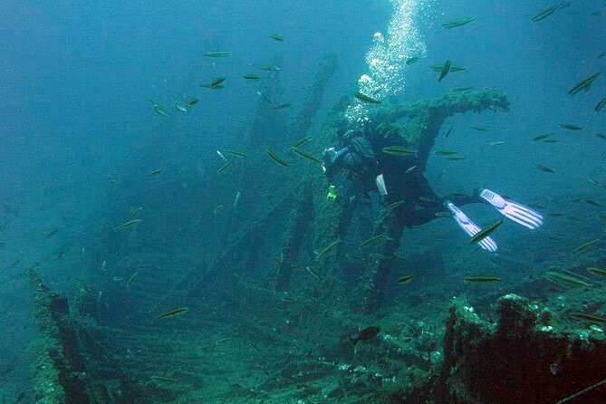 Adventure Dives for Certified Divers in Nea Makri, Athens - Getting to the meeting point near Nea Makri (and how to reduce stress)
