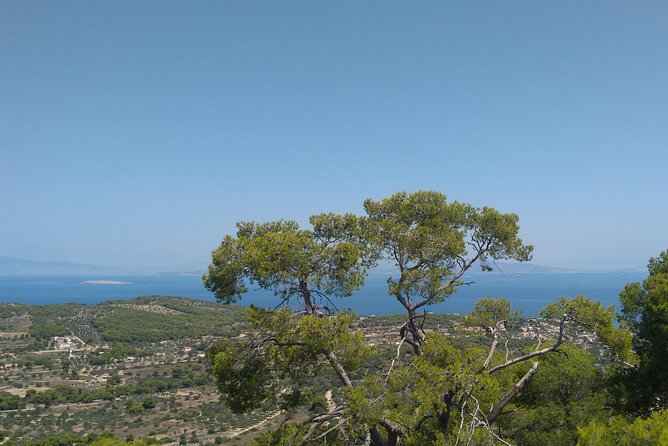Aegina Island St Nektarios & Temple of Athina Aphaia Private Tour - Door-to-door transfer from Athens to Aegina, minus the stress