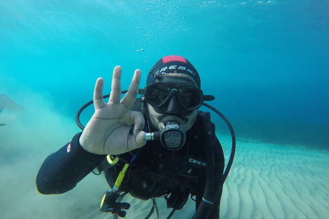 Anavyssos Athens Riviera: Beginners' Guided Try Scuba Diving - What you might see in the Aegean during a first session