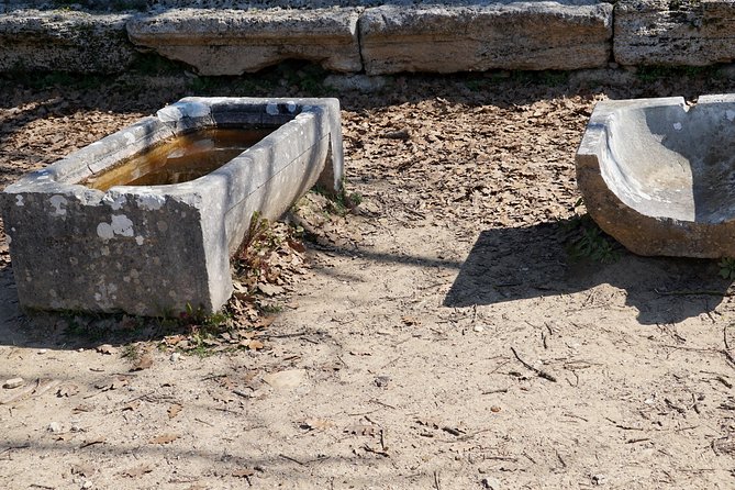 Ancient Olympia Private Tour from Athens - Museum of Ancient Olympia: Hermes of Praxiteles and Phidias in context