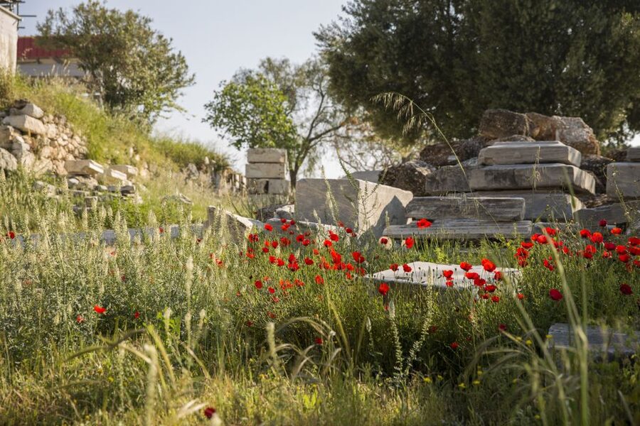 Athens: Acropolis Beat the Heat Guided Tour - Erechtheion: layers of story, not just steps