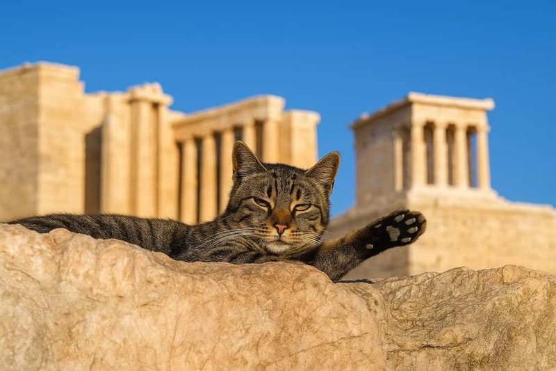 Athens: Acropolis Guided Tour with Skip-The-Line Tickets - Why skip-the-line plus a tiny group is worth it here