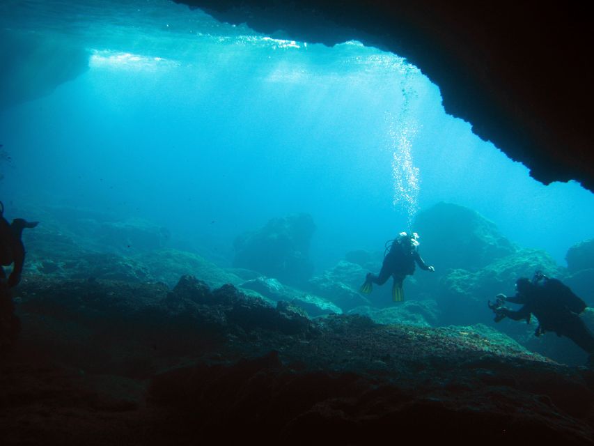 Athens: Adventure Dives in Nea Makri for Certified Divers - Key highlights worth your time