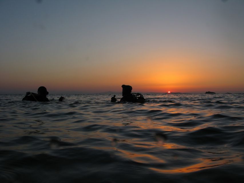 Athens: Adventure Dives in Nea Makri for Certified Divers - Who should book this Athens area scuba outing, and who should skip it