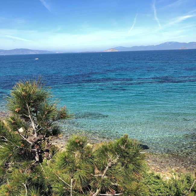 Athens: Aegina Island Small Group Premium Guided Tour - Temple of Athena Aphaia: why this ruin still feels powerful