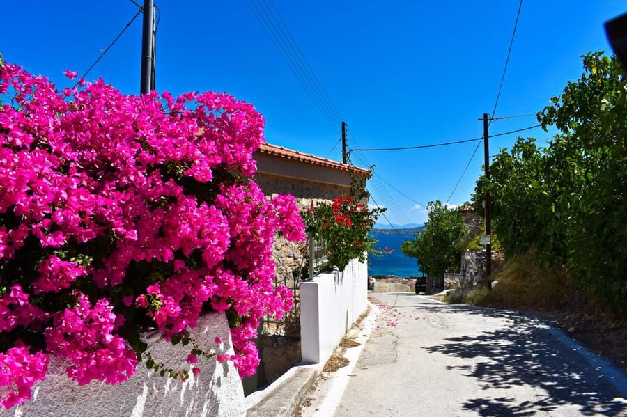 Athens: Agistri, Metopi & Aegina Cruise with Meals & Drinks - Morning on the Water: Coffee, Views, and Settling In