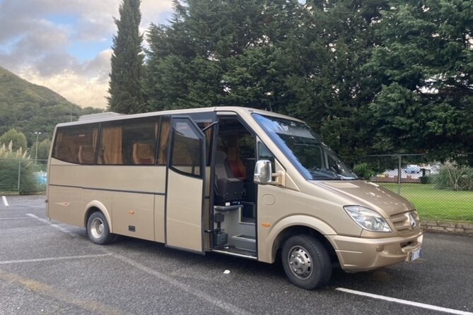 Athens Airport (ATH) Private Transfer to Athens Hotels/Piraeus - Who Should Book This Athens Airport Transfer