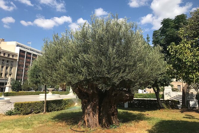 Athens by E-Bike: Monuments, Food & Transfers (Cruise Tour) - Old Town Cycling and the Neoclassical Exhibition Center Moment
