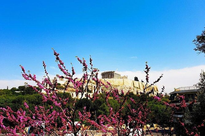 Athens city private tour - Tomb of the Unknown Soldier: The Changing of the Guards
