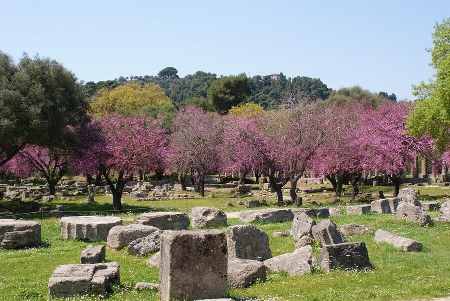 Athens: Corinth Canal and Ancient Olympia Private Trip - Price and Value: What $282 Per Person Is Buying