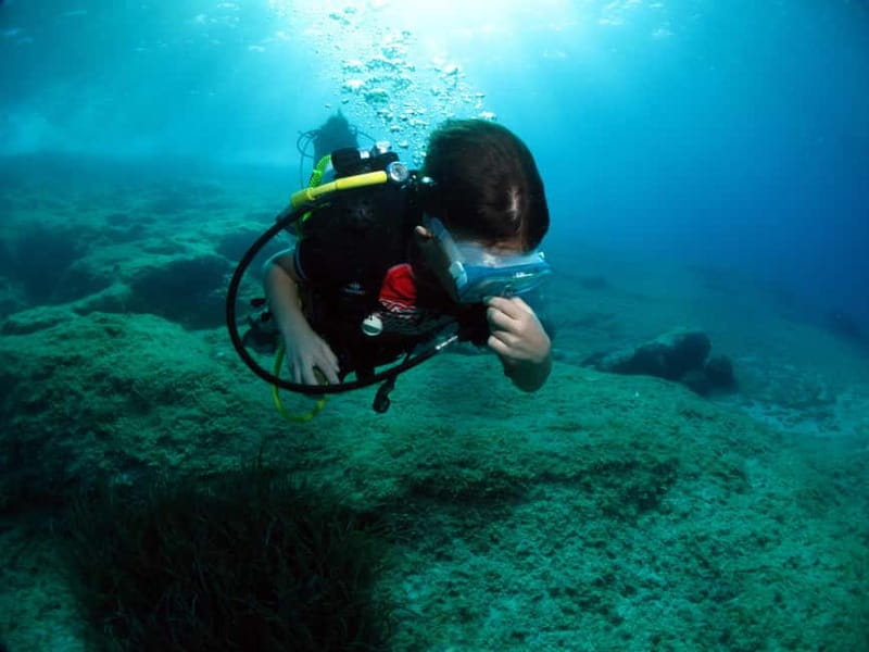 Athens: Discover Scuba Diving Experience for Beginners - The pre-course eLearning, including the medical statement