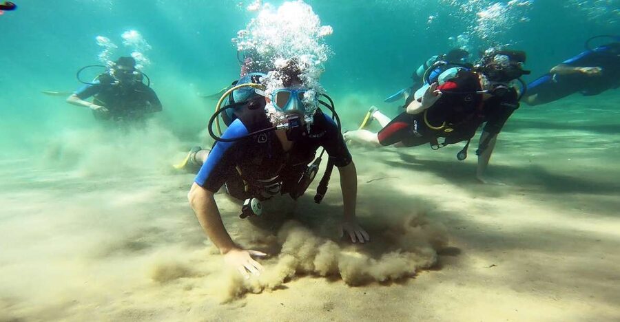 Athens East Coast: Discover Scuba Diving in Nea Makri - Key highlights you will actually feel during the session