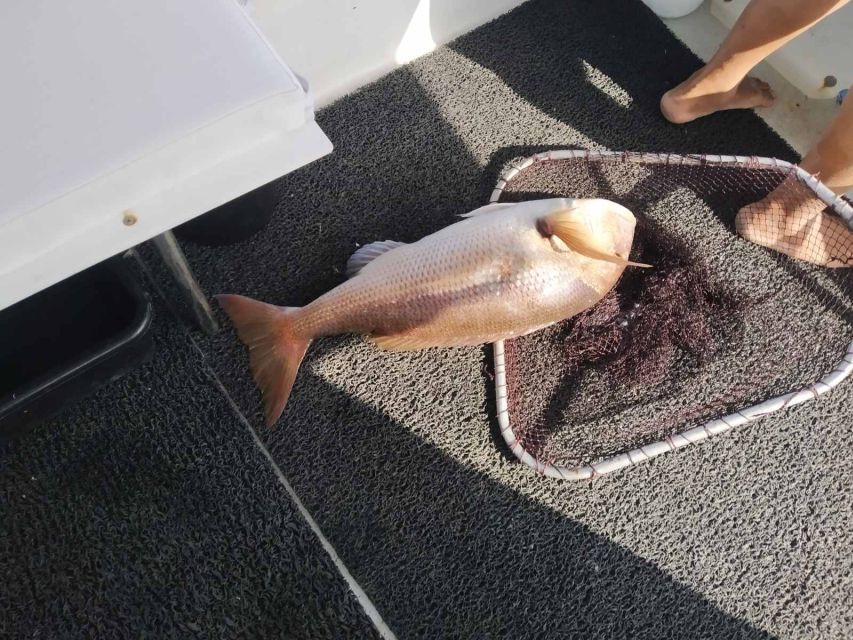 Athens: Fishing Trip Experience on a Boat with Seafood Meal - Comfort and safety on a licensed boat with life vests and onboard gear