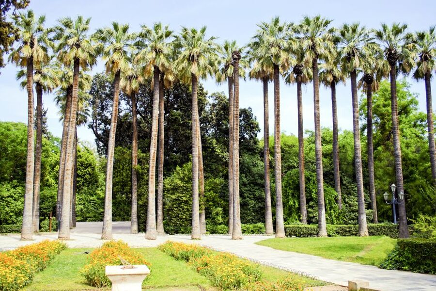 Athens Instagram Tour: The Most Scenic Spots - Price and Timing: What $47 Buys You in Athens