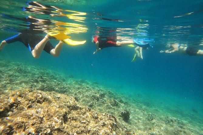 Athens, Nea Makri: Guided Small Group Snorkeling Boat Excursion - Who should book this Nea Makri snorkeling boat tour, and who might pass