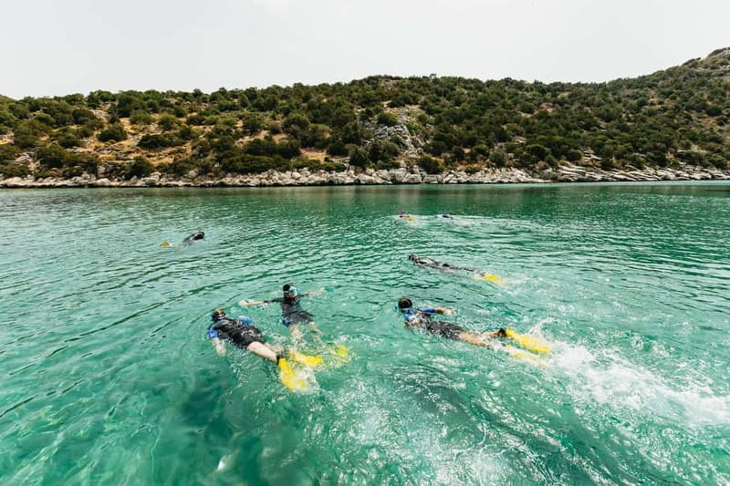 Athens, Nea Makri: Guided Small Group Snorkeling Boat Trip - Marathon Cape snorkeling: where the guide’s style makes the difference
