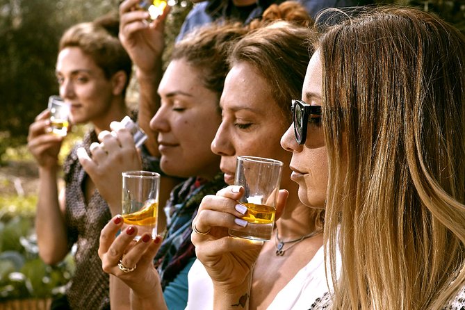 ATHENS OLIVE ESTATE - Olive Oil Workshop with Farm-to-Fork Lunch - What the Cold Press Visit Teaches You (Beyond the Basics)