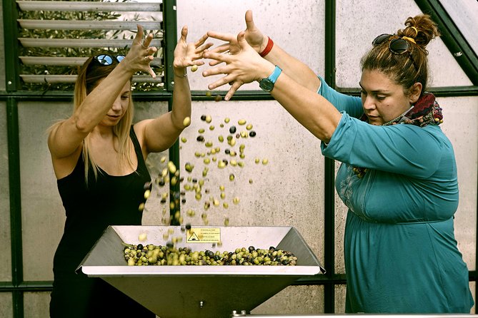 ATHENS OLIVE ESTATE - Olive Oil Workshop with Farm-to-Fork Lunch - Optional Add-Ons Near the Coast and Ancient Ruins