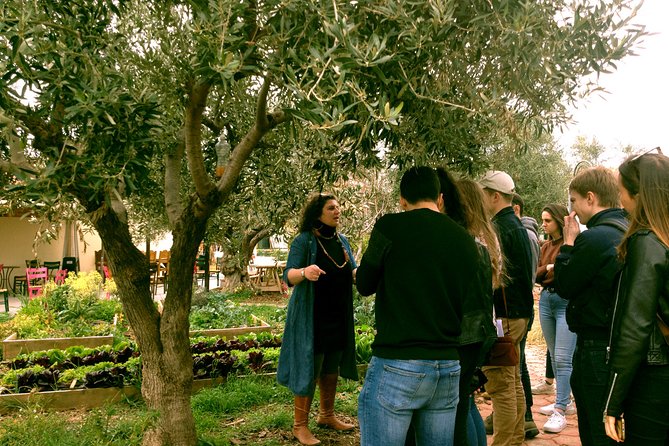 ATHENS OLIVE ESTATE - Olive Oil Workshop with Farm-to-Fork Lunch - Price and Value: What You Are Paying For