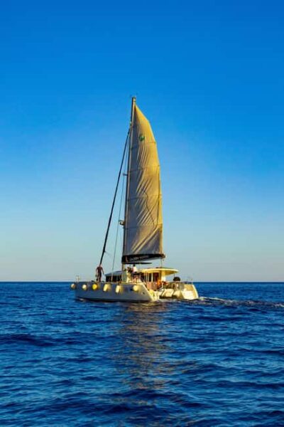 Private Catamaran Cruise w/ BBQ, Open Bar & Transfer