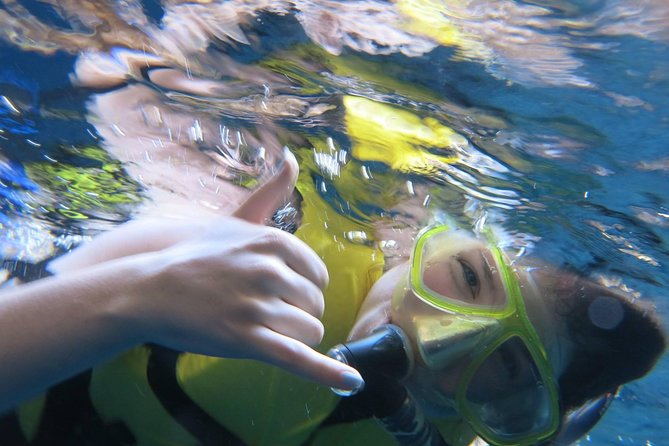 Athens Private Snorkeling and Swimming Cruise with pick up - Key highlights at a glance