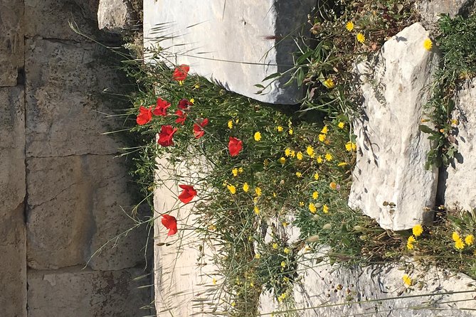 Athens Shore Excursion: Private City Sightseeing and Acropolis Tour - Syntagma Square and the Tomb of the Unknown Soldier: the Athens you see between monuments