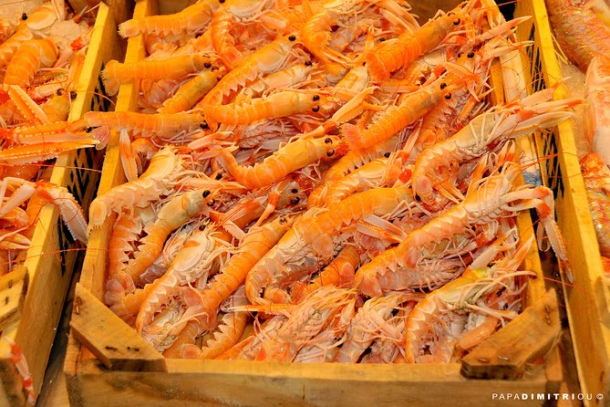 Athens Shore Excursion: Small-Group Food Tour - A Shore Excursion That Feels Like Athens, Not Just a Checklist