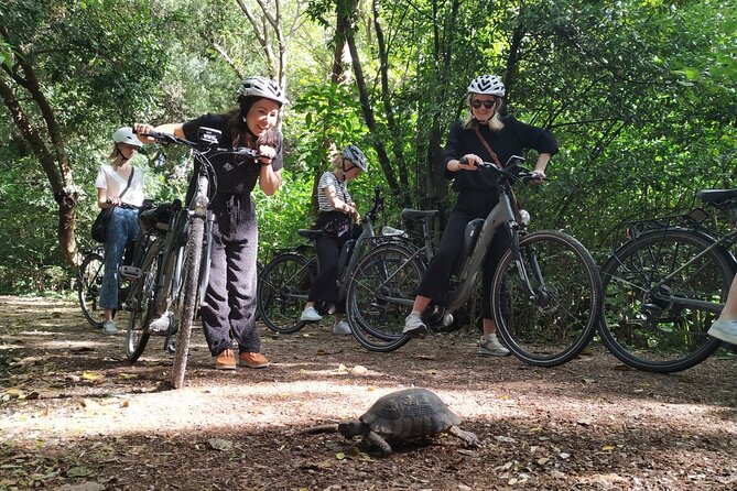 Athens Small Group E-Bike Tour - What’s not included, so you can plan the rest of your Athens week