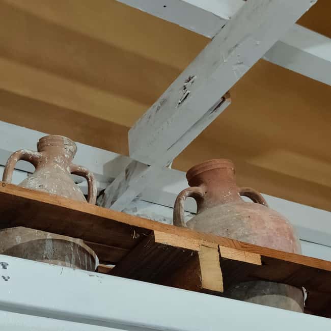 Athens: Stoic Philosophy and Wine - Wine, olive oil, and ancient grape varieties: what tasting adds