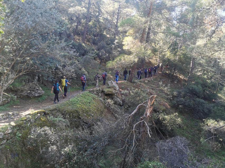 Athens Sunset Hike - Should you book this Athens sunset hike?