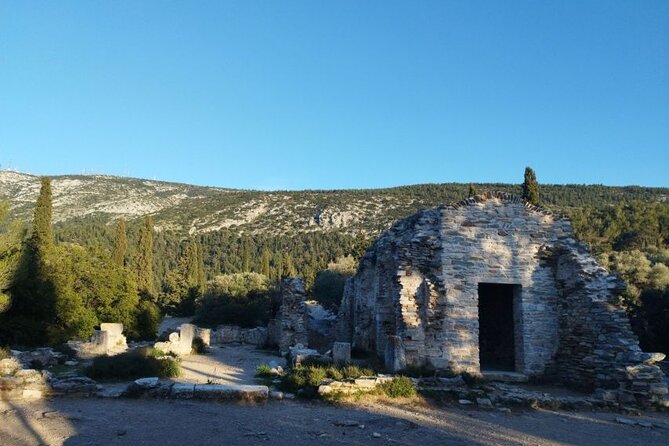 Athens Sunset Hymettus Mountain Hike - The pine-forest hike: pace that works for most people