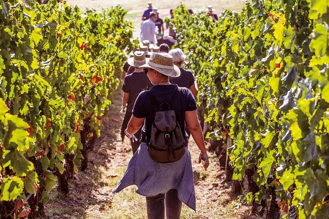 Athens Wine Tour - An Outstanding Full Day Experience For Dedicated Winelovers - Athens Wine Tour in One Look: Pickup, Timing, and What You Actually Get