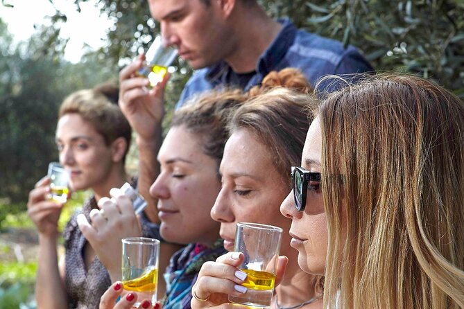 Bio Farm Private Olive Oil Tasting, Farm to Fork Meal & Temple of Poseidon Tour - Key Highlights at a Glance