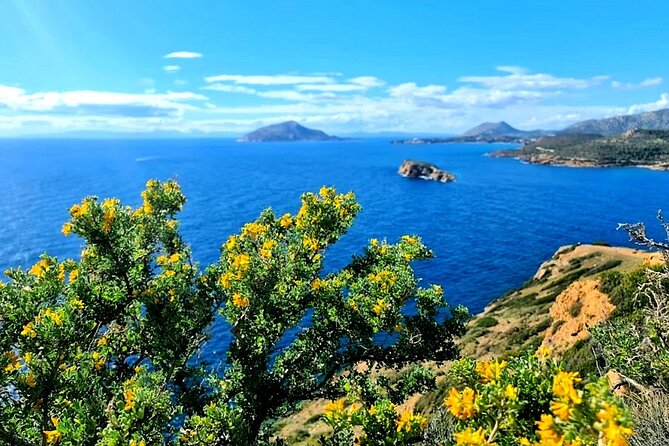Cape Sounio and Temple Poseidon Tour with Swimming - Varkiza Beach and Lagonisi: the relaxed sea break before heading back