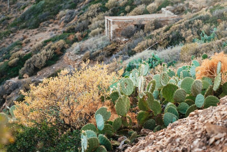Cape Sounion & Temple of Poseidon: Small Group Tour - Entering the Temple of Poseidon: How to Use Your Hour