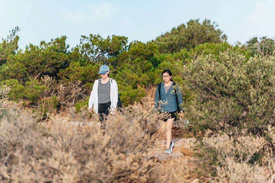 Cape Sounion & Temple of Poseidon: Small Group Tour - Sunset Timing at Cape Sounion: What Changes Between Morning and Late Day