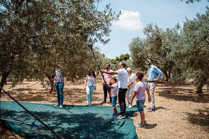 Corinth & Olive Oil Tasting Private Tour from Athens - Corinth Canal first: the views and the quick walk