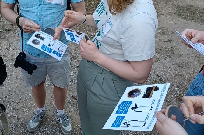 Democracy Experiential Workshop Activity on Pnyx hill, Athens - The 2-hour format: interactive from the first minute