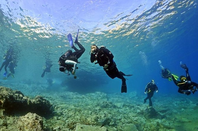 Discover Scuba Diving Private Fun Activity in Athens - What you’ll see in the warm, clear waters