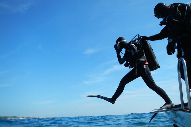 Discover Scuba Diving Private Fun Activity in Athens - Who this Athens scuba experience is best for