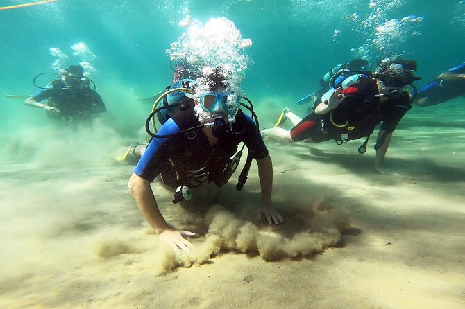 Discover Small Group Scuba Diving Experience in Nea Makri, Athens - Key Points That Matter Before You Go