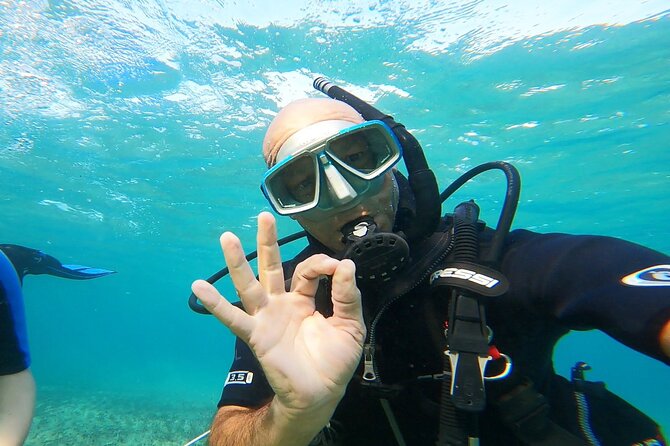 Discover Small Group Scuba Diving Experience in Nea Makri, Athens - Nea Makri and Schinias Beach: A Beginner-Friendly Spot Outside Athens
